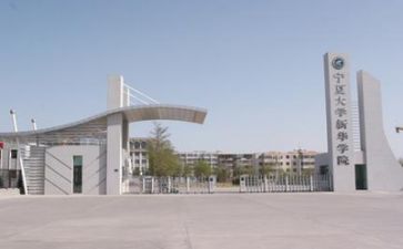 2024高校教师年终总结通用7篇