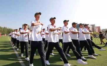 高一语文第二学期工作总结6篇