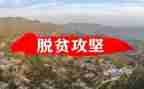 脱贫攻坚表彰个人心得体会5篇