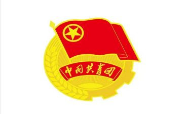 共青团的百年历程心得体会7篇