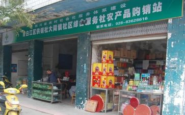 供销人工作总结8篇