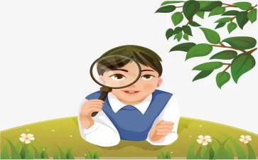观察绿豆作文7篇