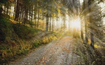 《劳动最光荣》教案7篇