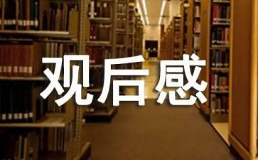 通用观后感心得体会5篇