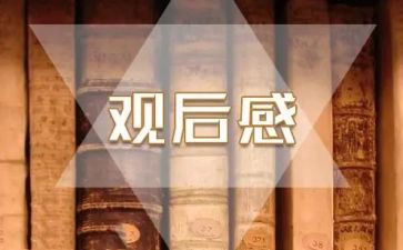 榜样5专题节目观后感心得体会6篇