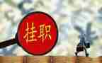挂职干部工作总结范文6篇