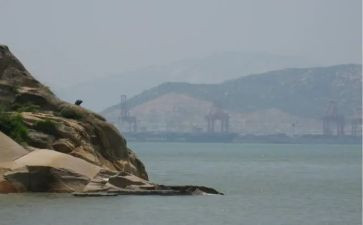 去鼓浪屿的作文模板8篇
