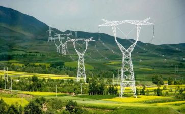 国网心得体会7篇