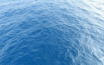 海归入党申请书范文模板5篇
