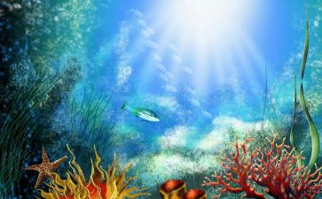 海底两万里观后感700作文8篇