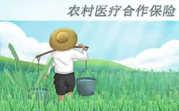 农村合疗申请书最新6篇