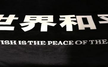 和平豹心得体会8篇
