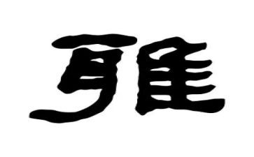 和雅少年申请书8篇