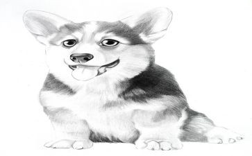 幼儿园《画》教案优质7篇
