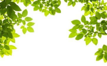 局环保工作总结参考6篇