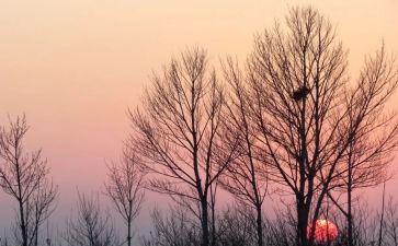 黄昏集锦作文6篇