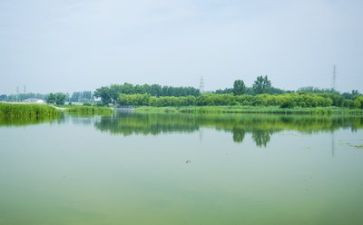 与环境有关调查报告7篇