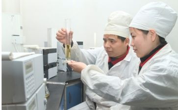 化验工作个人总结推荐8篇