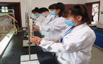 化验工作个人总结8篇