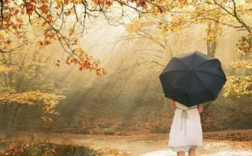 回归的作文优秀7篇