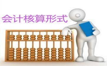 会计个人年度报告总结7篇