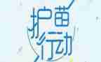 家庭护苗行动心得体会6篇