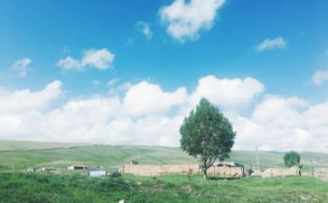 活在我心中作文优秀5篇