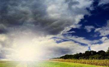 活在我心中作文精选8篇