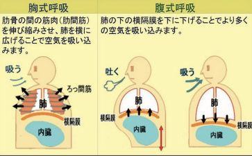 呼吸科进修自我鉴定7篇