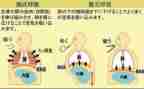 呼吸科进修自我鉴定7篇