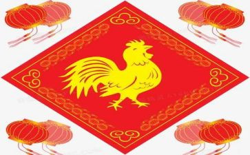 黑母鸡的蛋读后感8篇