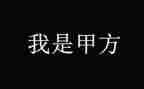 甲方代表工作总结6篇