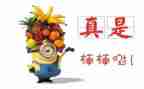 2023年公安民警个人嘉奖事迹材料5篇
