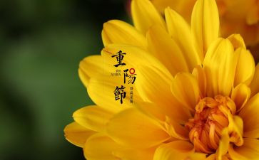 元旦佳节作文6篇