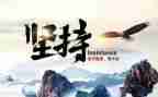 论坚持作文800字5篇
