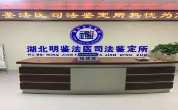 鉴定所的总结报告优秀5篇