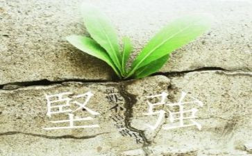 我学会坚强作文600字模板5篇