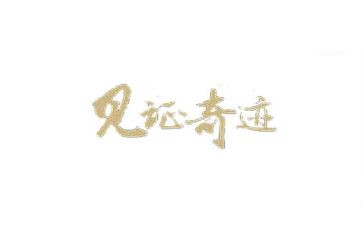我见证作文精选8篇