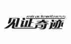 我见证作文最新8篇
