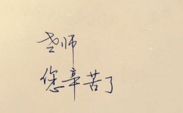 教师调查报告模板5篇