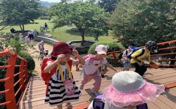 郊游教案反思5篇