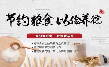 青春节粮心得体会推荐8篇