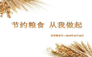 青春节粮心得体会优质6篇