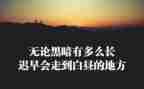 16大精神心得体会推荐6篇