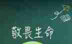 生命的敬畏作文优秀8篇