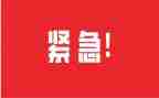 《紧急救援》电影观后感6篇