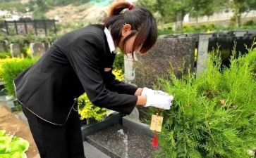 清明祭扫校长讲话稿5篇