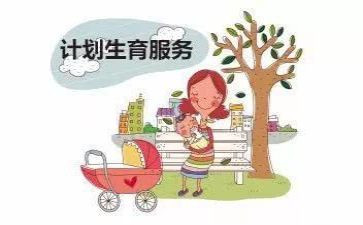 计生工作年度总结优质8篇