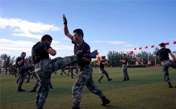 军体拳军训心得7篇