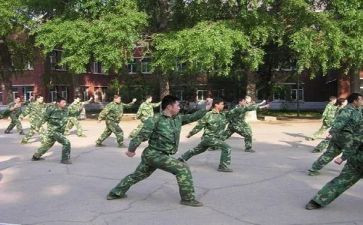 学军体拳的心得体会6篇